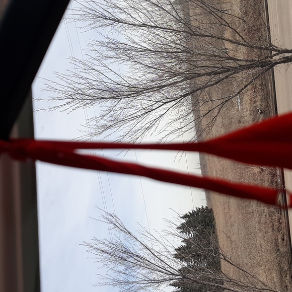 BN LPA wrap around red dress - Picture 9 of 15